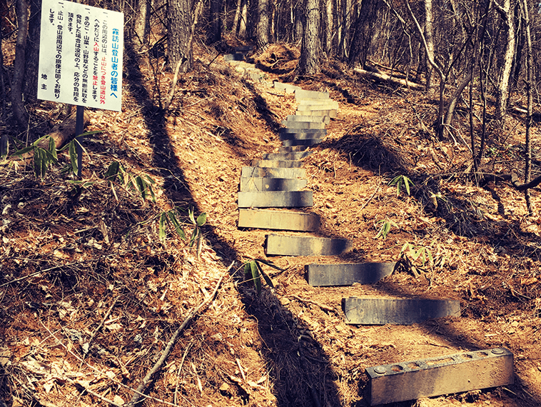 登山口の看板をくぐると、早速の急登。よく整備された急な階段が続く。